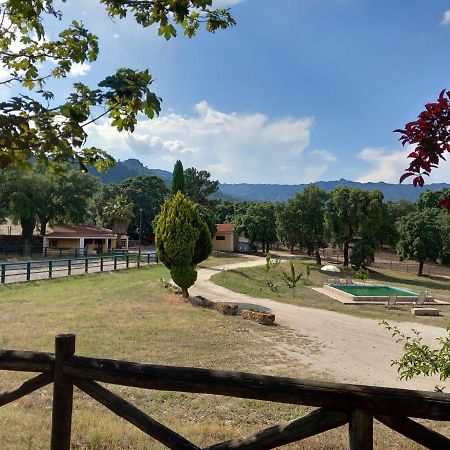 Casa Da Vinha Villa Castelo Novo Luaran gambar