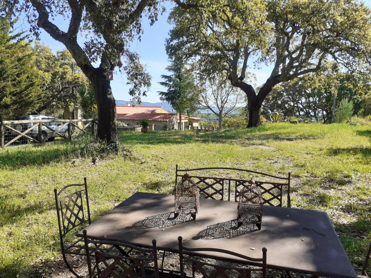 Casa Da Vinha Villa Castelo Novo Luaran gambar