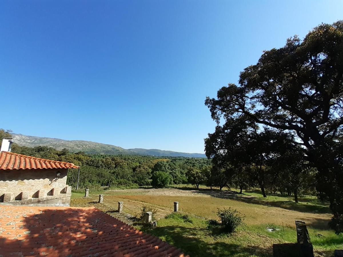 Casa Da Vinha Villa Castelo Novo Luaran gambar
