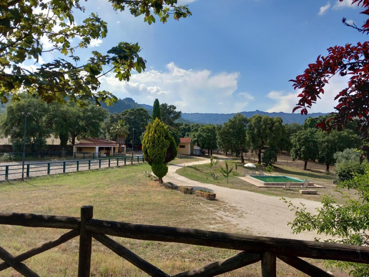 Casa Da Vinha Villa Castelo Novo Luaran gambar