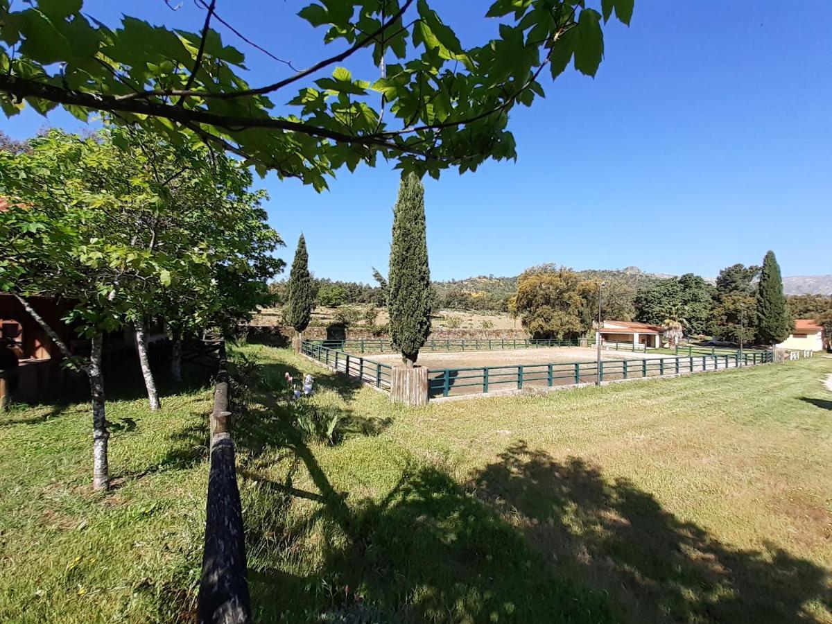 Casa Da Vinha Villa Castelo Novo Luaran gambar