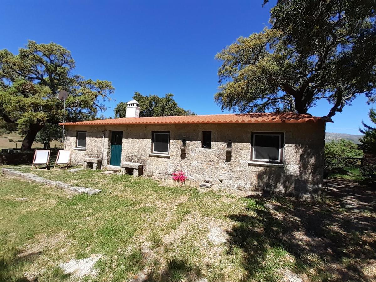 Casa Da Vinha Villa Castelo Novo Luaran gambar