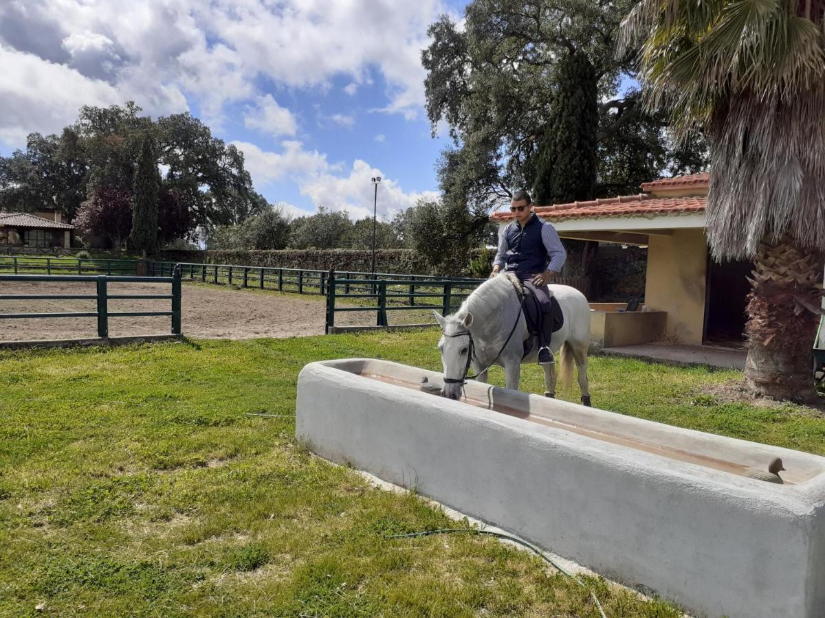 Casa Da Vinha Villa Castelo Novo Luaran gambar