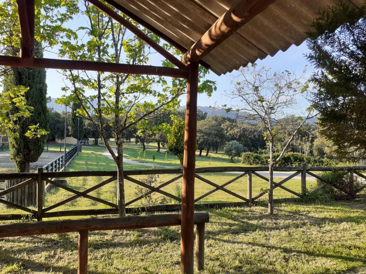 Casa Da Vinha Villa Castelo Novo Luaran gambar