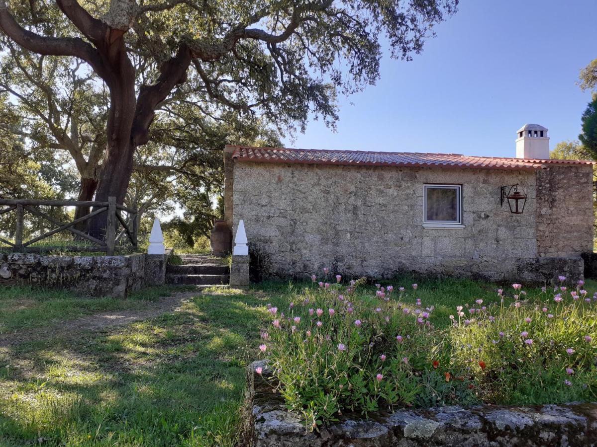 Casa Da Vinha Villa Castelo Novo Luaran gambar