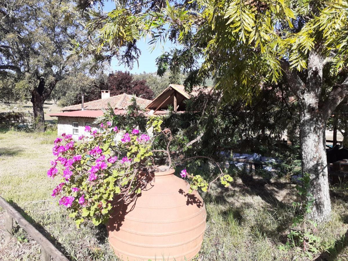 Casa Da Vinha Villa Castelo Novo Luaran gambar