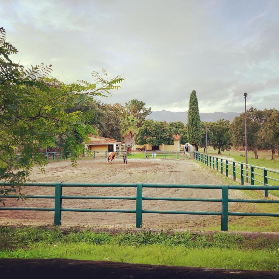 Casa Da Vinha Villa Castelo Novo Luaran gambar