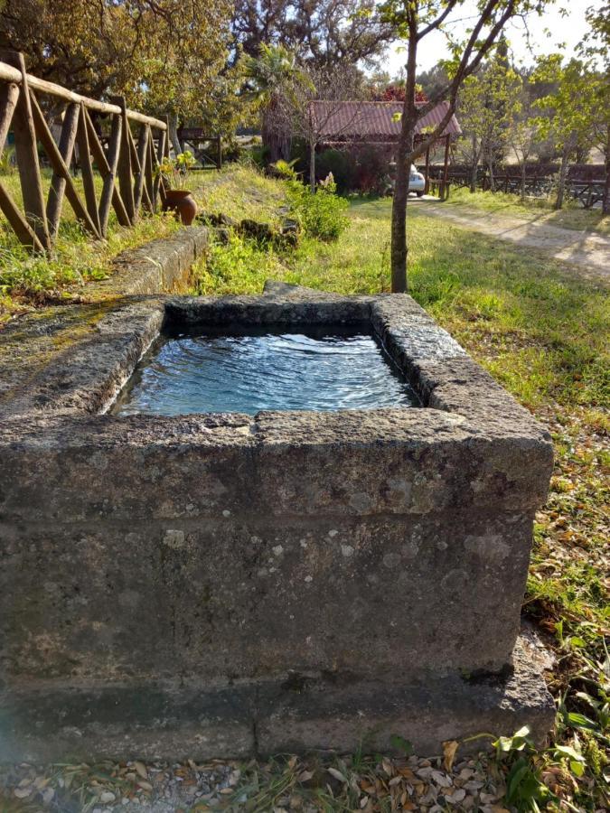 Casa Da Vinha Villa Castelo Novo Luaran gambar